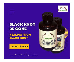 Getting Black Knot Disease-Promotes Healing with Black Knot Be Gone | free-classifieds-usa.com - 1