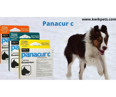 How to give Panacur C to dogs? | free-classifieds-usa.com - 1