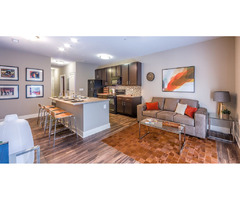 Find an excellent Student accommodation 75 Armory in Champaign | free-classifieds-usa.com - 1