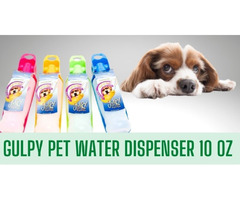 Best Dog Water Dispensers & its Requirement | free-classifieds-usa.com - 1