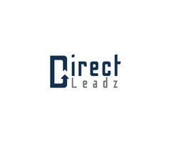 Direct Leadz - Web Design, Web Development & Digital Marketing Company | free-classifieds-usa.com - 1