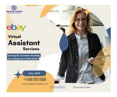 ebay virtual assistants Services | free-classifieds-usa.com - 1