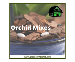 Orchid Mixes - Get the best orchid root growth!  | free-classifieds-usa.com - 1