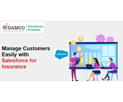 Manage Customers Easily with Salesforce for Insurance | free-classifieds-usa.com - 1