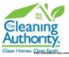Professional House Cleaner | free-classifieds-usa.com - 1