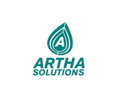Data Management Solutions - Artha Solutions | free-classifieds-usa.com - 1