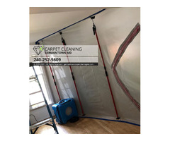 Professional Mold Cleanup in Germantown MD - Carpet Cleaning | free-classifieds-usa.com - 2