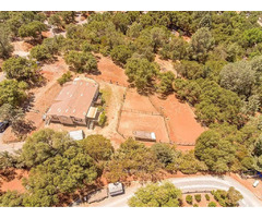 Horse Property with a spacious and airy triple wide home | free-classifieds-usa.com - 1