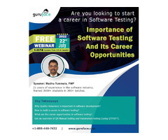 Importance of Software Testing and Its Career Opportunities | free-classifieds-usa.com - 1