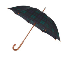Walking Cane Umbrellas		 | free-classifieds-usa.com - 1