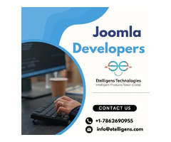 Hire Professional Joomla Developers | free-classifieds-usa.com - 1