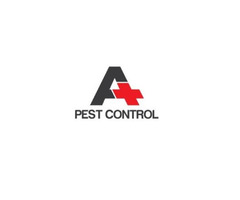 A Plus Pest Control | free-classifieds-usa.com - 1