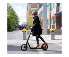 Fat Tire Electric Scooters for Rent in Massachusetts | free-classifieds-usa.com - 3