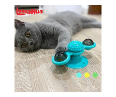 Buy Cat LED Windmill Toy from Molly International  | free-classifieds-usa.com - 1