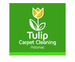 Mold Removal Services in Potomac MD - Tulip Carpet Cleaning Potomac | free-classifieds-usa.com - 1