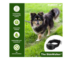 Wireless Dog Fences in Fayetteville Arkansas | free-classifieds-usa.com - 1