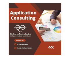 Hire Top-Notch Application Consulting Services  | free-classifieds-usa.com - 1