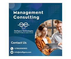 Hire Professional Management Consultants  | free-classifieds-usa.com - 1