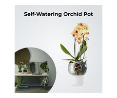Self-Watering Orchid Pot | free-classifieds-usa.com - 1
