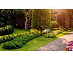 Landscaping Installation in Gainesville, FL | bhild | free-classifieds-usa.com - 1