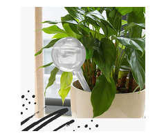 Plant Watering Bulbs | free-classifieds-usa.com - 1