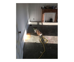 Hardwood Floor Installation in Milford NH by New England Floor Sanding | free-classifieds-usa.com - 1