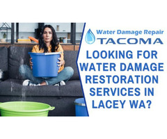 Looking For Water Damage Restoration Services in Lacey WA? | free-classifieds-usa.com - 1