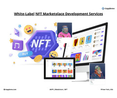 White Label NFT Marketplace Development Services | Dappbrew | free-classifieds-usa.com - 1