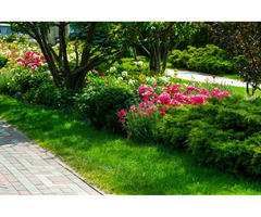 Landscaping Services and Installation in Gainesville, FL | bhild | free-classifieds-usa.com - 1