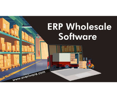 Best ERP Solution For Wholesale Distribution | free-classifieds-usa.com - 1