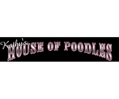 Kathy's House Of Poodles  | free-classifieds-usa.com - 2