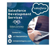 Salesforce Development Company  | free-classifieds-usa.com - 1
