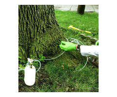 Leading Alpine Tree Care Services to Keep your Trees Healthy from Tree Doctor USA. | free-classifieds-usa.com - 2