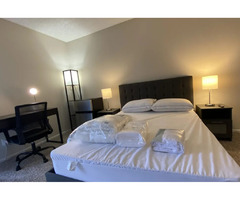 Apartments for Rent in Culver City Ca | Ecco Living | free-classifieds-usa.com - 1