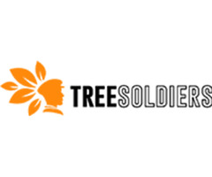 Why is Hiring a Tree Service with TRAQ so Important? | free-classifieds-usa.com - 1