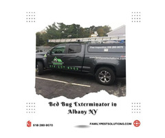 Superior Bed Bug Services in Albany NY | free-classifieds-usa.com - 1