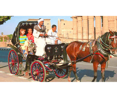Egypta Tours “Legitimate Travel Agency in Egypt” | free-classifieds-usa.com - 3
