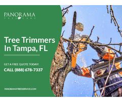 Experienced Tree Trimmers in Tampa, FL | free-classifieds-usa.com - 1