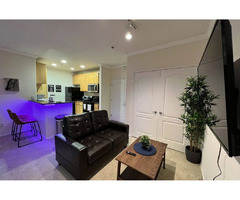 Apartments for Rent Near Hollywood Ecco Living | free-classifieds-usa.com - 1