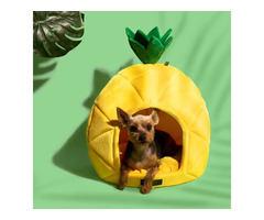 Durable quality dog beds-LARGE PINEAPPLE BED | free-classifieds-usa.com - 1
