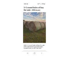 5x5 rou d bales of have for sale  | free-classifieds-usa.com - 1