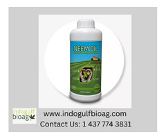To Know How To Use Neem Oil For Plants | free-classifieds-usa.com - 1