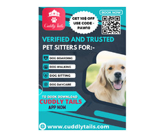 Book Best Dog Daycare and Dog Boarding Services in Beaumont, TX | free-classifieds-usa.com - 1