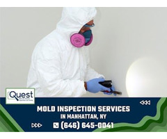 Quest Mold and Asbestos Inspections and Testing of Manhattan | free-classifieds-usa.com - 1