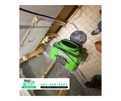 Mold Removal Services in Boca Raton, FL – Mold Act of Boca Raton | free-classifieds-usa.com - 1