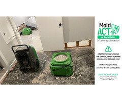 Mold Removal Services in Boca Raton, FL – Mold Act of Boca Raton | free-classifieds-usa.com - 2