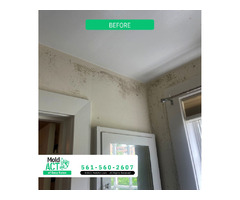Mold Removal Services in Boca Raton, FL – Mold Act of Boca Raton | free-classifieds-usa.com - 4