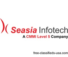 Best Web application Development Company in USA | free-classifieds-usa.com - 1