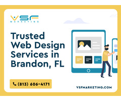 Get Quality Web Design in Brandon, FL, from VSF | free-classifieds-usa.com - 1