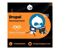 Collaborate with the Best Drupal Development Company | free-classifieds-usa.com - 1